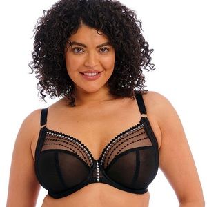 NWT elomi Matilda plunge underwear - US 40O